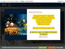 Tablet Screenshot of ids-aalst.com